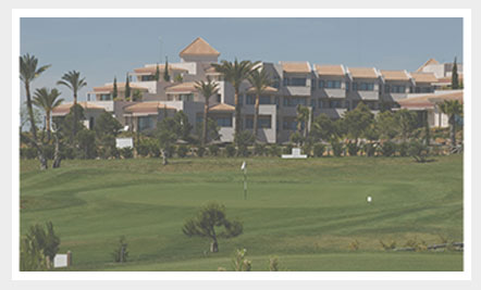 Segmentos-hoteleros4 Insignia Google Partner Premier
