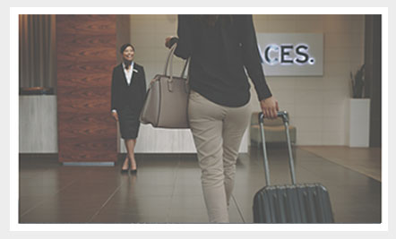 Segmentos-hoteleros5 Insignia Google Partner Premier